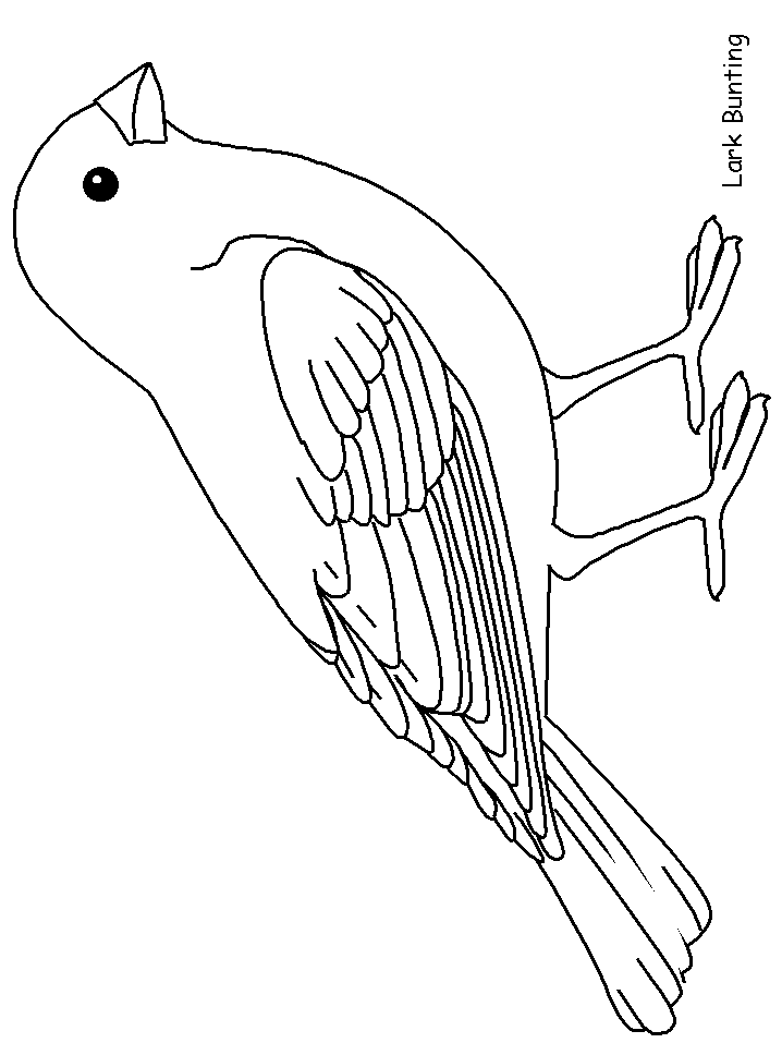 Plansa de colorat cu Pasari 33 193